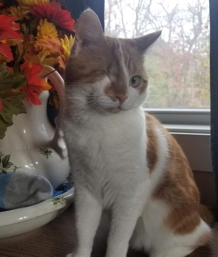 Portrait of Betty